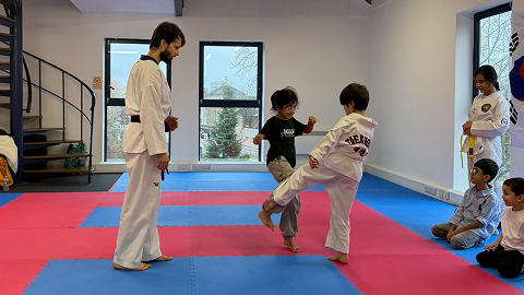 taekwando